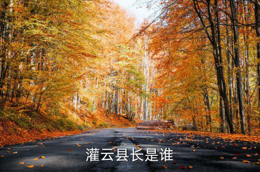 灌云國稅局局長叫什么，國家稅務(wù)局局長叫什么