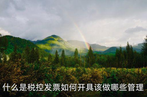 申請稅控是什么，什么是稅控盤申請稅控盤需要什么手續(xù)