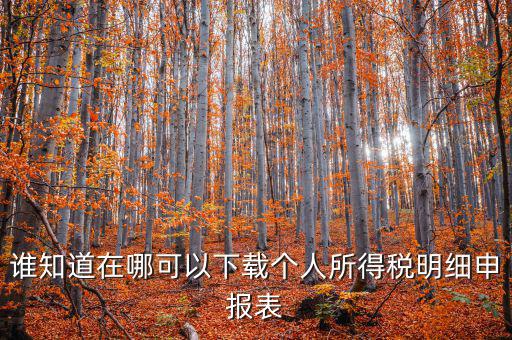 下載什么看申報稅，誰知道在哪可以下載個人所得稅明細(xì)申報表