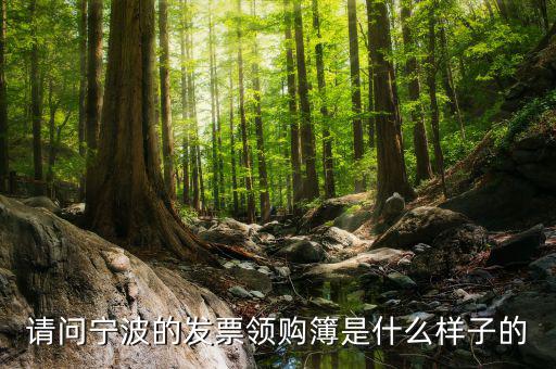 發(fā)票領用簿什么樣子，會計發(fā)票領購沒經(jīng)驗想請問領購的發(fā)票時什么樣的有金額顯示嗎