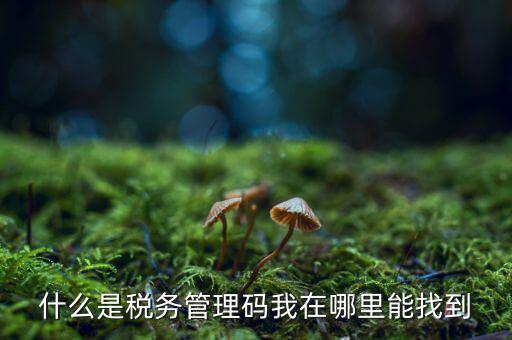 汽車保險稅務(wù)登記號是什么，稅務(wù)登記號查詢