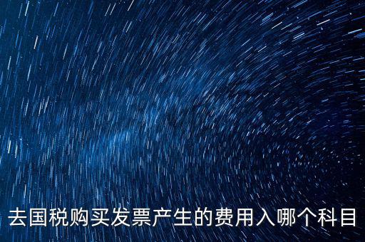 國稅計入什么科目，付國稅應(yīng)計入什么科目求解啊