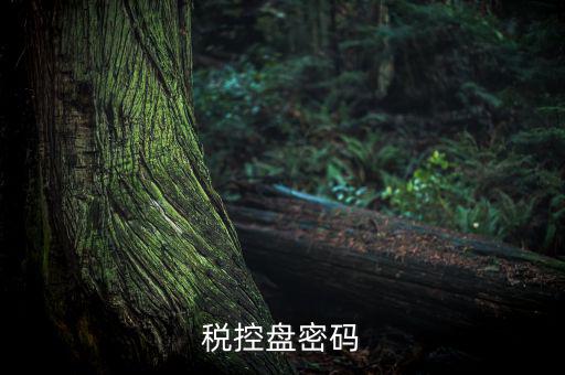 稅控盤證書(shū)密碼是什么意思，稅控盤上報(bào)匯總密碼是什么