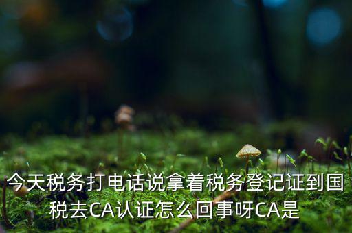 稅務(wù)局ca證書是什么，今天稅務(wù)打電話說拿著稅務(wù)登記證到國稅去CA認(rèn)證怎么回事呀CA是