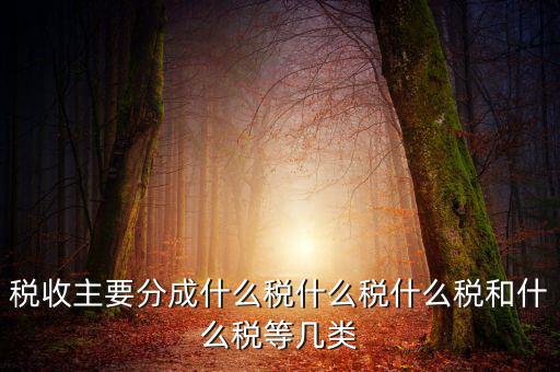 稅收主要分成什么稅什么稅什么稅和什么稅等幾類(lèi)
