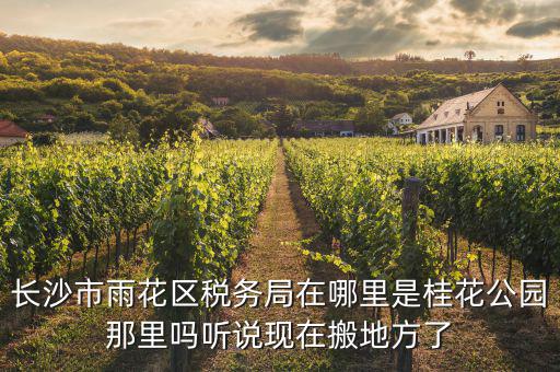 長沙國稅局在什么地方，長沙國稅局在哪