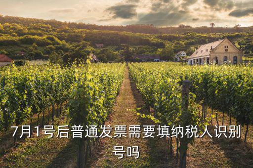 7月1號后發(fā)票內(nèi)容是什么意思，7月1號后普通發(fā)票需要填納稅人識別號嗎