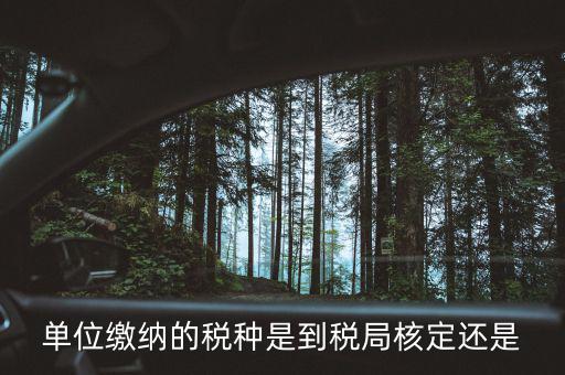 什么時候 稅種核定，單位繳納的稅種是到稅局核定還是
