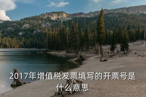 2017年增值稅發(fā)票填寫(xiě)的開(kāi)票號(hào)是什么意思