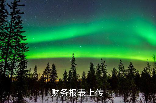 每年上傳什么財(cái)務(wù)報(bào)表，報(bào)哪些稅時(shí)需要上傳財(cái)務(wù)報(bào)表麻煩詳細(xì)一點(diǎn)報(bào)增值稅時(shí)怎樣上傳財(cái)