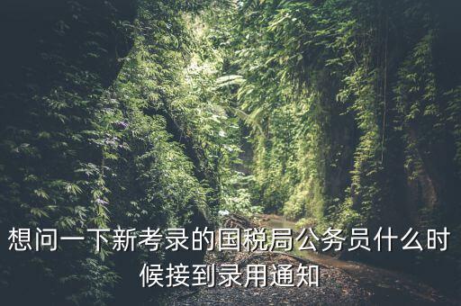 國(guó)稅錄取通知什么時(shí)候，今年國(guó)稅公務(wù)員正式錄用公告什么時(shí)候出