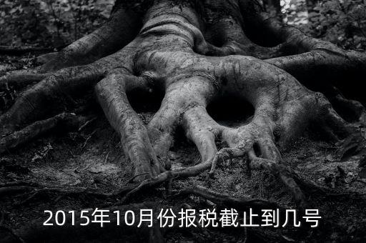 10月份地稅申報(bào)期到什么時(shí)候，今年09年10月份國(guó)稅和地稅的申報(bào)期最后一天是那天