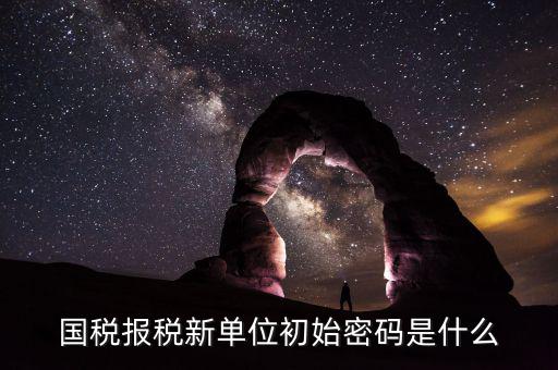 國稅申報登錄密碼是什么，抄報稅密碼應(yīng)該是什么啊