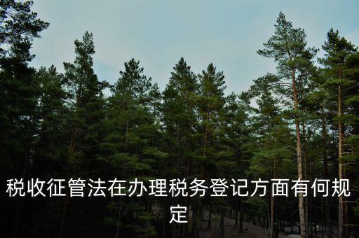稅收征管法在辦理稅務登記方面有何規(guī)定