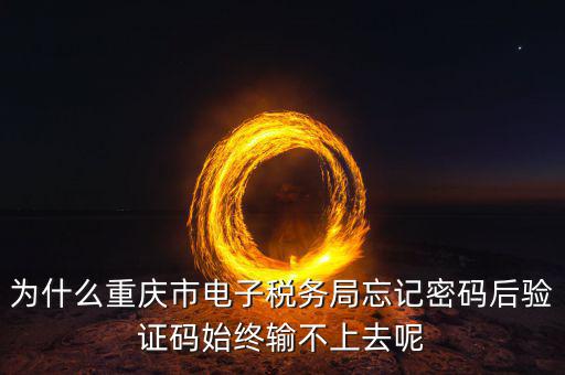 重慶電子稅務(wù)局什么時間開始，重慶渝北區(qū)地稅局就是一支路那個的作息時間是幾點到幾點啊