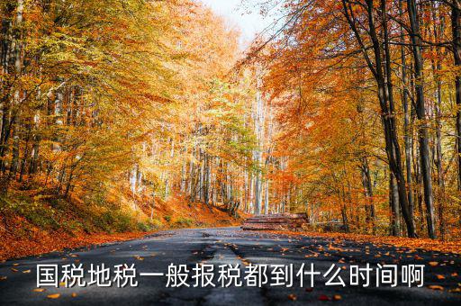 國稅上報省局什么時候，國稅地稅網上報稅時間