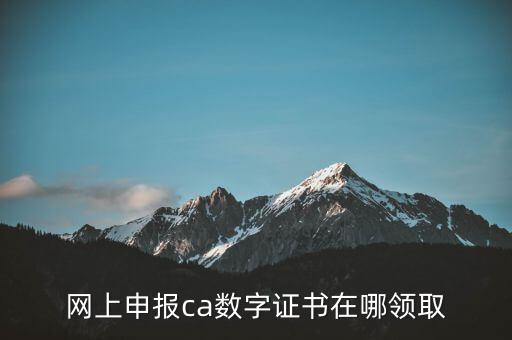 申報(bào)領(lǐng)取什么CA，財(cái)務(wù)報(bào)稅的ca通道是什么