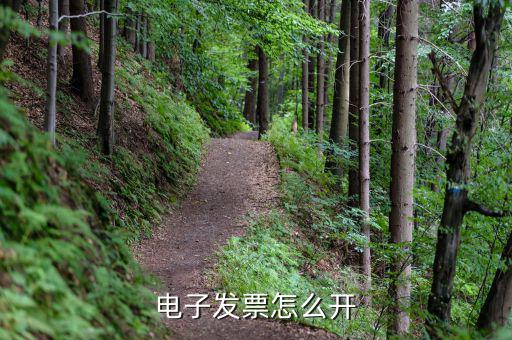 企業(yè)開稅票用什么網(wǎng)頁，公司稅票怎么開