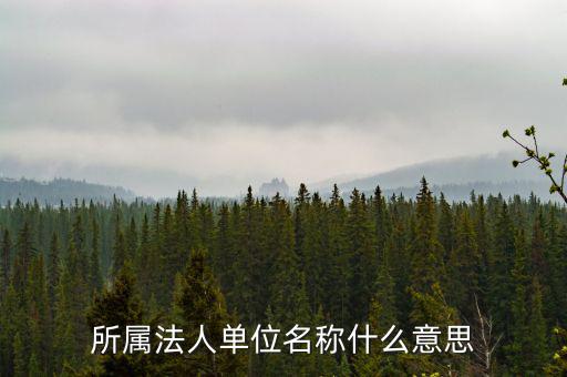 所屬法人單位名稱(chēng)什么意思