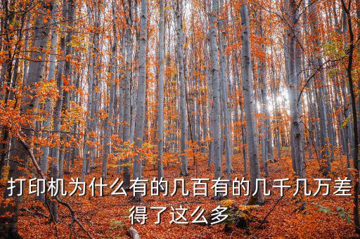 發(fā)票打印機為什么這么貴，為什么針式打印機還是那么貴