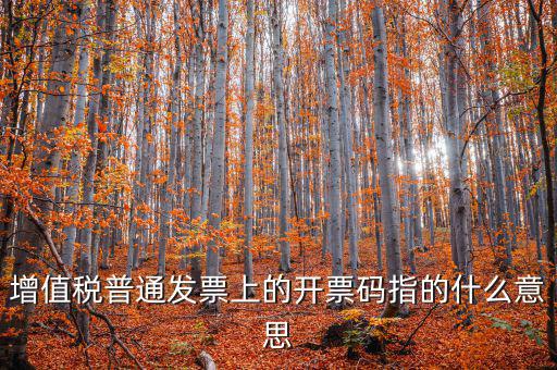 稅控盤開票碼是什么意思，增值稅普通發(fā)票上的開票碼指的什么意思