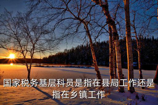 稅務(wù)系統(tǒng)的基層指什么，國家稅務(wù)基層科員是指在縣局工作還是指在鄉(xiāng)鎮(zhèn)工作