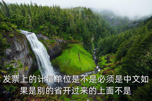 發(fā)票計(jì)量單位是什么，發(fā)票上的計(jì)量單位是不是必須是中文如果是別的省開過來的上面不是