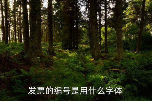 發(fā)票中公司字體是什么字體，發(fā)票的編號(hào)是用什么字體
