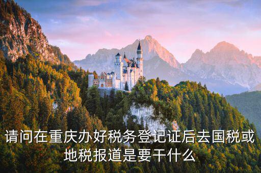 地稅報(bào)道是什么，地稅報(bào)的是哪些稅月報(bào)還是季報(bào)還是年報(bào)