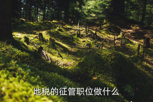 省地稅局是做什么的，地方稅務(wù)局