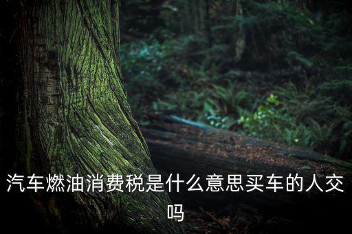 成品油消費(fèi)稅什么意思，成品油消費(fèi)稅和燃油稅