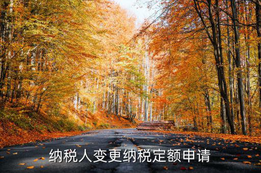 變更納稅定額什么意思，調(diào)整應(yīng)納稅所得額什么意思