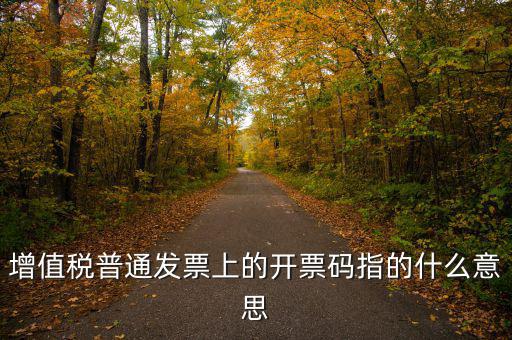 什么是發(fā)票信息碼，增值稅普通發(fā)票上的開票碼指的什么意思