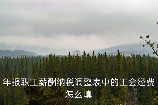 工會經(jīng)費應稅項填什么，網(wǎng)上報稅時又多了一項工會經(jīng)費怎樣填寫計算