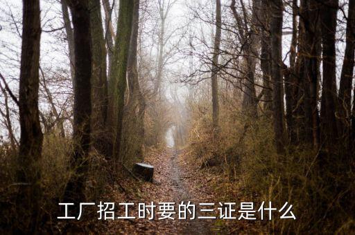個(gè)人三證是什么意思，三證都是什么證