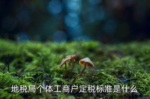 地稅局個(gè)體工商戶(hù)定稅標(biāo)準(zhǔn)是什么