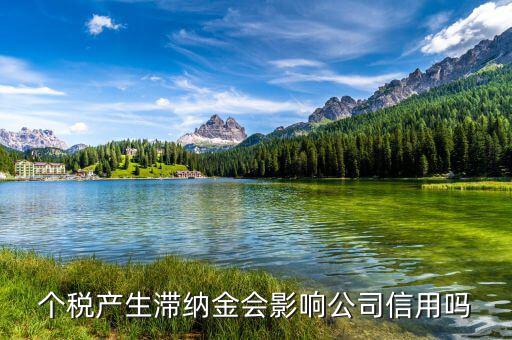 稅收滯納金有什么影響，地稅報(bào)稅逾期產(chǎn)生滯納金會(huì)對(duì)公司有甚么影響
