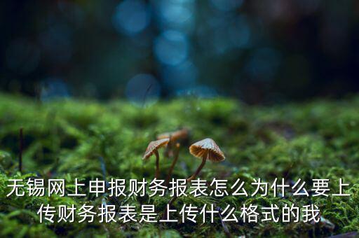 為什么要上傳報表，無錫網上申報財務報表怎么為什么要上傳財務報表是上傳什么格式