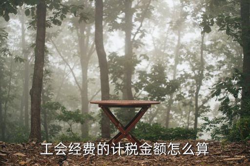工會經(jīng)費的應稅項是什么，工會經(jīng)費屬于稅嗎屬于支付的稅費嗎