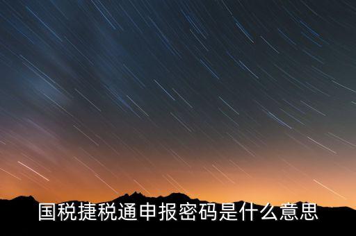 國(guó)稅申報(bào)登陸密碼是什么意思，國(guó)稅第一次網(wǎng)上申報(bào)的登陸密碼是什么