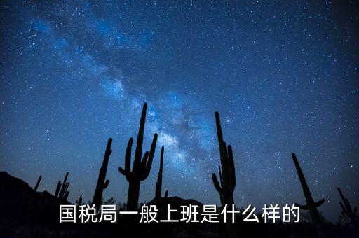 國(guó)稅局司機(jī)算什么工種，國(guó)稅局司機(jī)是干哪些工作的