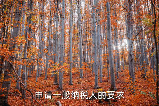 納稅人需求什么，申請(qǐng)一般納稅人的要求