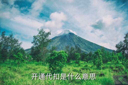 商戶代扣支出是什么啊，代扣什么意思