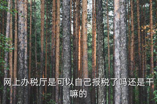 什么是網(wǎng)上辦稅服務(wù)廳，電子申報管理系統(tǒng)和網(wǎng)上辦稅大廳有什么不同的