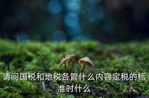 請(qǐng)問國(guó)稅和地稅各管什么內(nèi)容定稅的標(biāo)準(zhǔn)時(shí)什么