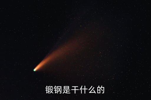 弘遠(yuǎn)泰斯是干什么的，飛踏是干什么的