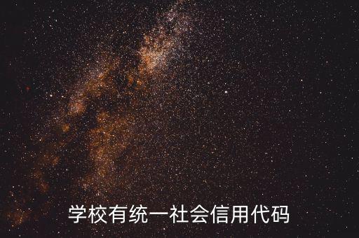 社會(huì)識(shí)別代碼是什么問題，社會(huì)信用代碼是不是納稅人識(shí)別號(hào)