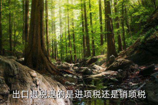 出口退稅退的是什么稅，出口退稅退的是進(jìn)項稅還是銷項稅