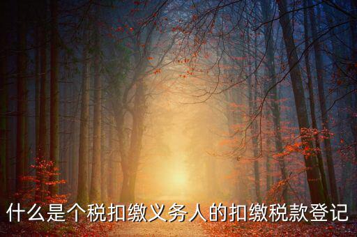 什么是個稅扣繳義務人的扣繳稅款登記