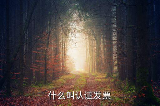 什么叫認(rèn)證發(fā)票，什么叫認(rèn)證增值稅發(fā)票如何認(rèn)證好像還有手工認(rèn)證是怎么回事啊
